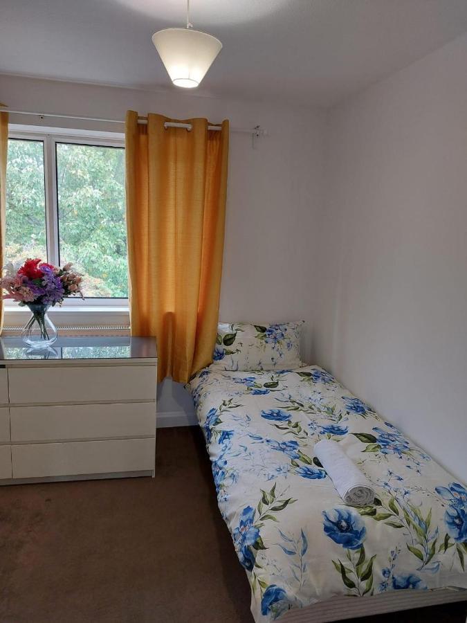 קרוידון Superb 2 Bedroom Flat, Sleeps 6 מראה חיצוני תמונה